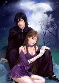 至尊狂兵